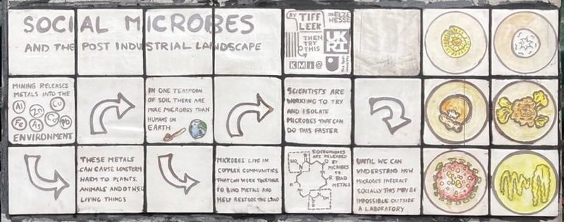 microbe mural