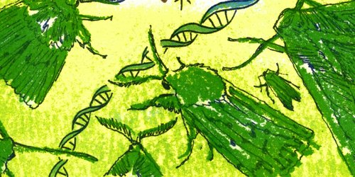 riso green banner.jpg